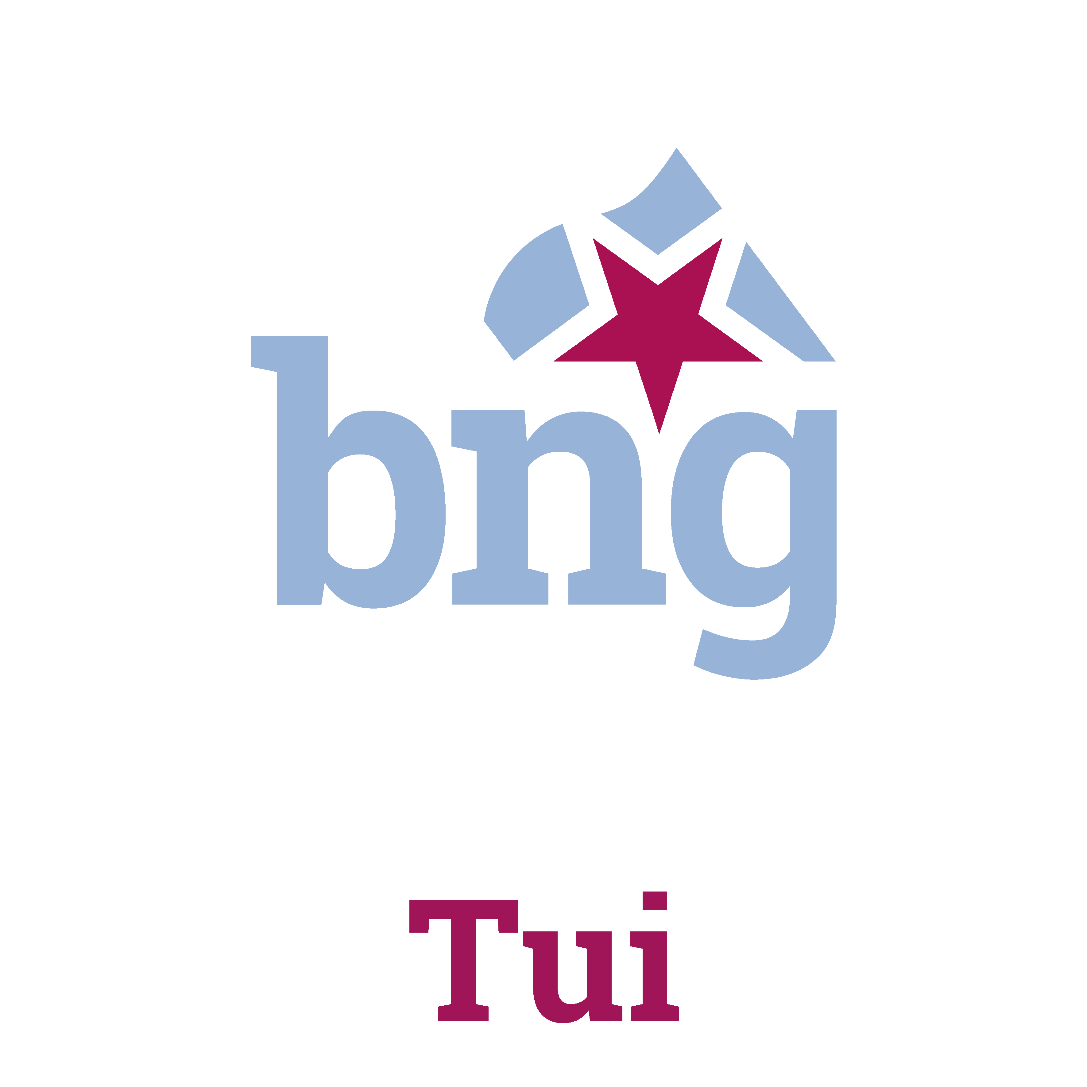 ⏩Conta do BNG de Tui, para dar a coñecer a nosa actividade e o noso proxecto para Tui.

📷 Tamén estamos en Instagram @bngdetui

📩Contacto: tui@bng.gal