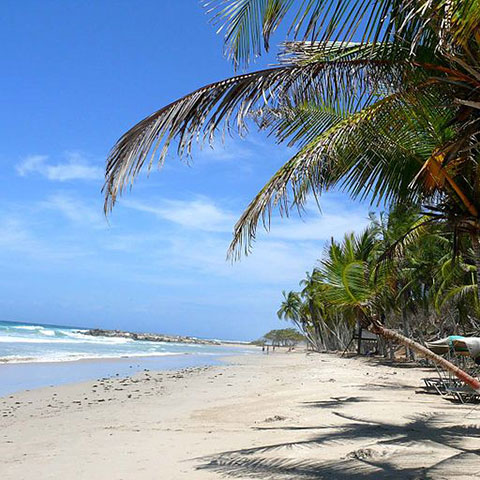 Alejand41467588's profile picture. Ingeniero Mecanico