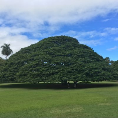 BRB20202's profile picture. 中受アカウント。2020→🐬から7校在学中。次は2024🚄無言フォロー失礼します。