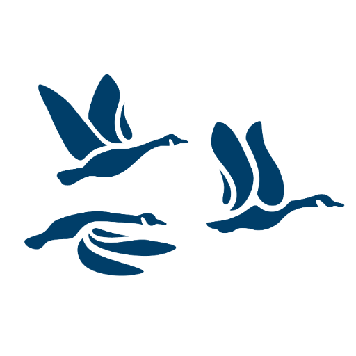 Canadian Community Economic Development Network Profile