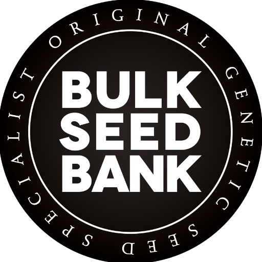 Original Genetic Seed Specialist  #BulkSeedBank 🌱 #CannabisSeeds  Official account ©️ +１８ Years
https://t.co/qN8kbHqZBf