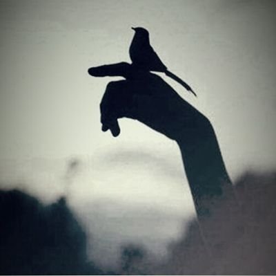 t9VDQGBgKZlApvQ's profile picture. 