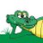 grassgatorsyyc's profile image