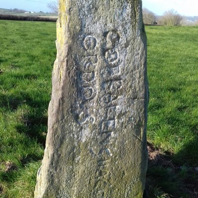 tinytimthepony's profile picture. I inherited this feed from Tiny Tim, a pony rescued by the RSPCA who lived here and blogged at https://t.co/0GtWuu4m17. I am immortal, on a stone in Tim’s field.