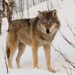 bane6703's profile picture. i hate life