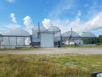 We have a greenhouse in Charles City VA, Root 5 Family Farms. We sell potted plants (veggies, herbs) and healthy vegetables. We plan to sell native plants.