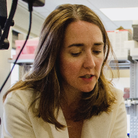 Marieke Gilmartin (@mariekezerog) 's Twitter Profile Photo Marieke Gilmartin (@mariekezerog) 's Twitter Profile Photo