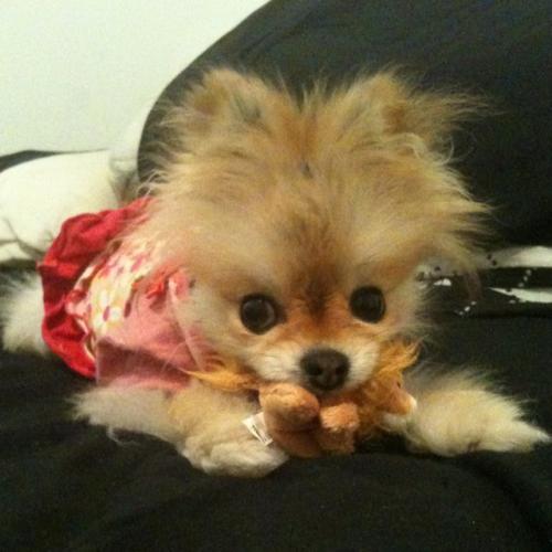 lissacam's profile picture. I just look at the dopeness. But you, it's like you just look at the wackness, ya know?