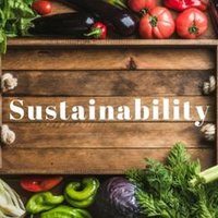 plant based environment (@scarryalan) 's Twitter Profile Photo plant based environment (@scarryalan) 's Twitter Profile Photo