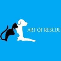 Art of Rescue(@ArtofRescue_) 's Twitter Profile Photo