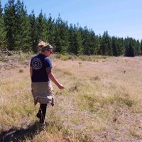 Tanya Blazewicz (she/her) (@tanyablazewicz) 's Twitter Profile