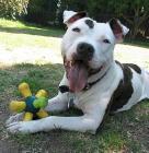 notpatdunaway's profile picture. 