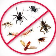 We are usa based pest control service provider.Our service combines the most advanced technology and methods available today. Call us (888)725-3085