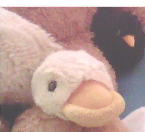 Sissi is my name and Duck is my game! S2 S2 S2