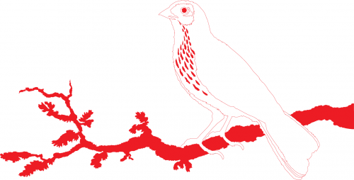 BLOKdesign's profile picture. Art director. Designer