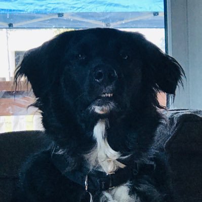 Chance94Cook's profile picture. Saved by Christ. Married to amazing woman. Cubs fan. Try to be funny. Enjoy debates. Not afraid to say shocking things to start a conversation.