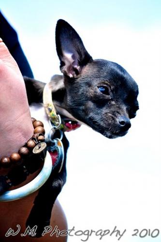 waynemmah's profile picture. 