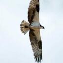 Mark Thibodeau - @thibmark - Twitter