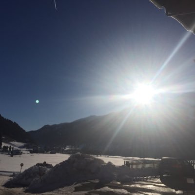 schnee68658556's profile picture. Lehrerin 👩‍🏫