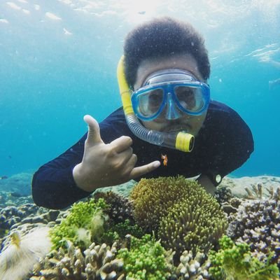 pedetlemu's profile picture. seorang pemimpi