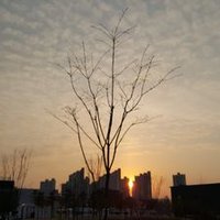 피라냐(v)🏳️‍🌈🌏 (@howtheyshine_4u) 's Twitter Profile