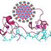 Michel Lab (@smichellab1) Twitter profile photo Michel Lab (@smichellab1) Twitter profile photo