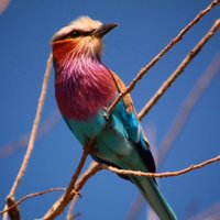 Jon Collins ⚜️ (@joncollins85) 's Twitter Profile Photo