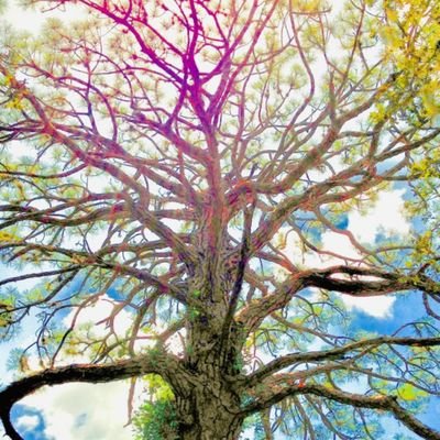 trytokeep_up's profile picture. Gay woman. Not queer.