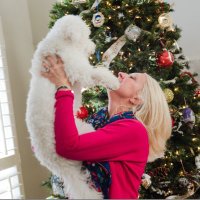 Lori Callan (@loricallanfcps) 's Twitter Profile