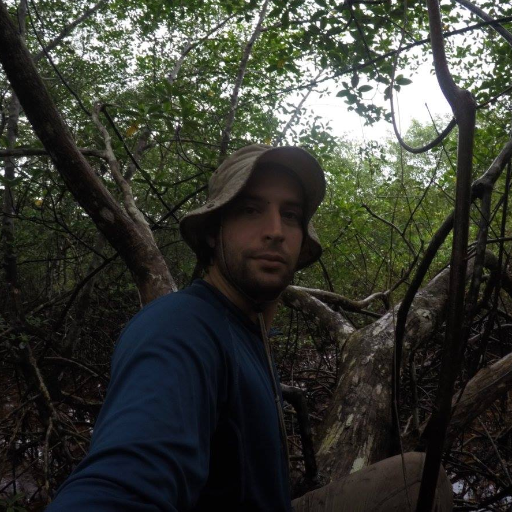 MangroveMatt Profile Picture