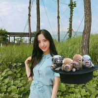 ️️ ️️ ️️ ️️ (@mahasiswikupu2) 's Twitter Profile Photo ️️ ️️ ️️ ️️ (@mahasiswikupu2) 's Twitter Profile Photo