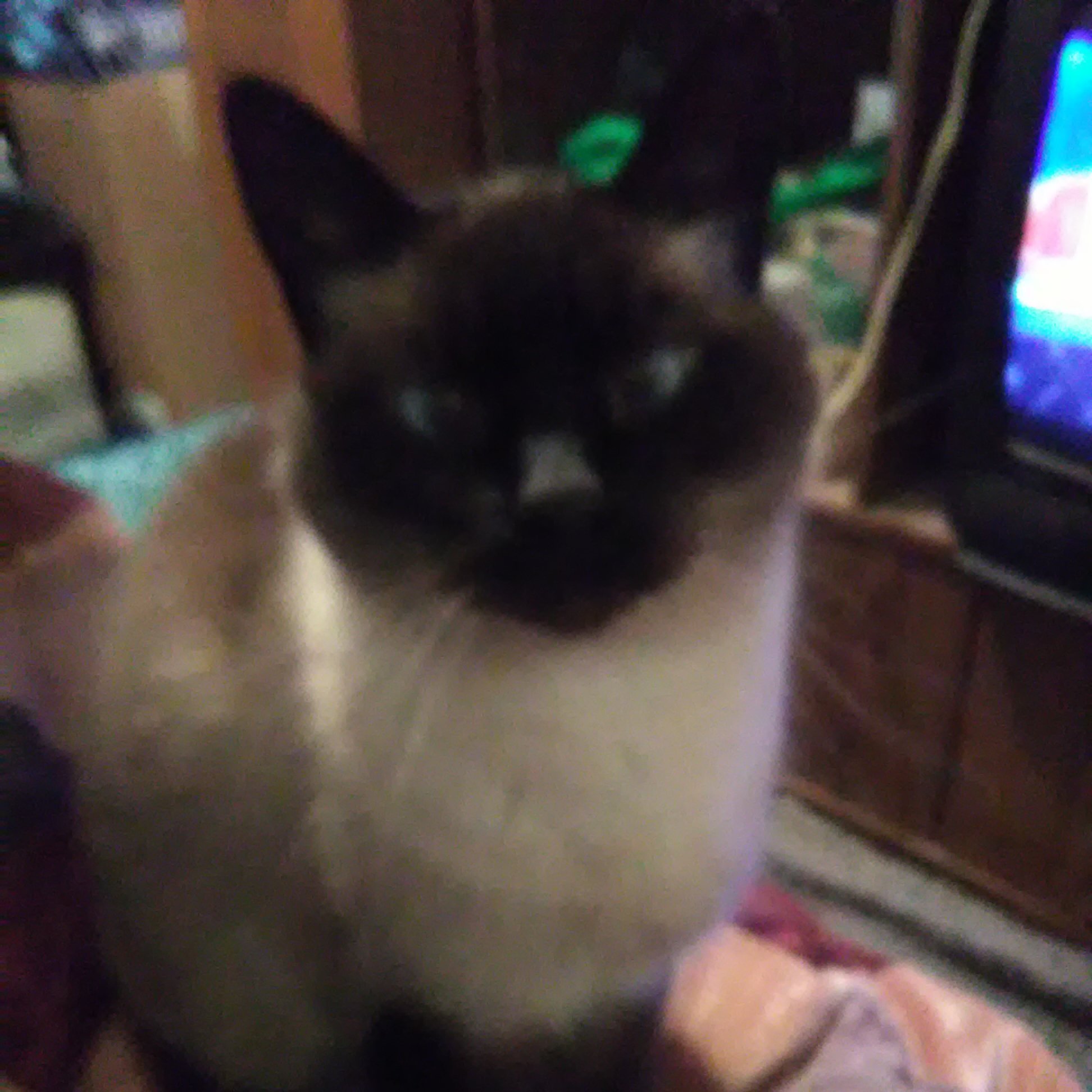 phishy256's profile picture. It's just so cold