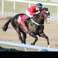 mosseg (@mosseg1) 's Twitter Profile