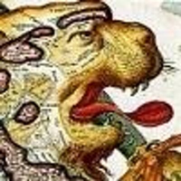 UCL Dutch (@ucldutch) 's Twitter Profile
