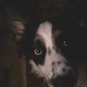 Levi Nichols - @whitek0ma - Twitter