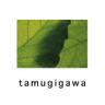 tamugigawa's profile picture. 「自由党」を支援します。渓流釣りが趣味です。最近野菜作りを始めました。農作業もまた自然に対する勉強と実感しています。