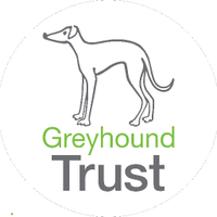 Greyhound Trust(@greyhoundtrust) 's Twitter Profile Photo