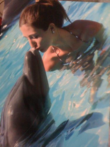 kmcguire_stl's profile picture. 