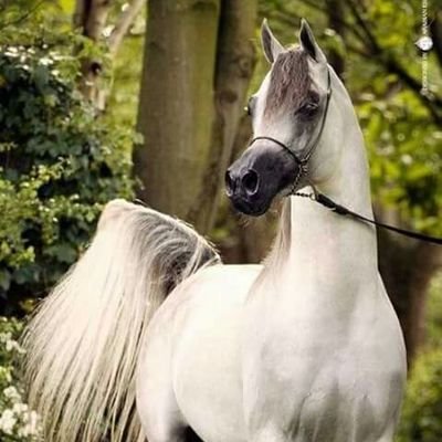 JPRaj61302292's profile picture. நல்ல அன்பாக பேசுவதற்க ஒரு தோழி இருந்தால் வாங்க.  யாராவது இருந்தா வாங்க பழகலாம் நம்பிக்கை இருந்தால் வாங்க