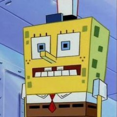 SpongeBot CryptoPants