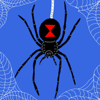 BlackWidow (@blackwi32395359) 's Twitter Profile Photo