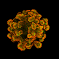 Kim Jensen Lab (@jensenlab_ucph) 's Twitter Profile