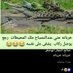 صداقه وتعارف (@tlwxsaaamxs2rzm) Twitter profile photo صداقه وتعارف (@tlwxsaaamxs2rzm) Twitter profile photo