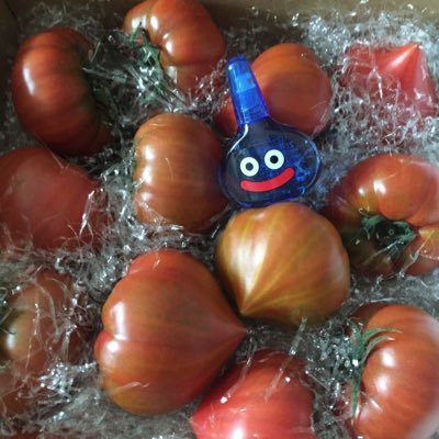 thr_kyoka's profile picture. 