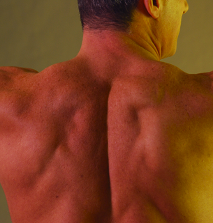 Info, reviews and help in finding a Chicago chiropractor