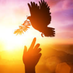 Unidad y Amor (@ecuadorycuba) Twitter profile photo Unidad y Amor (@ecuadorycuba) Twitter profile photo