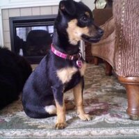 Ruby Amarillo (@rubyamarillo) 's Twitter Profile