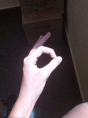 Sofiaさんのプロフィール画像