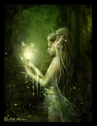 BogJuiced's profile picture. A Middle Reader's novel written by E. Gray 
Currently looking for representation.