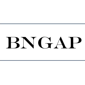 President, Building the Next Generation of Academic Physicians (BNGAP) | Executive Director, LMSA National Inc.